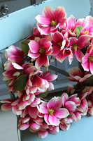 Magnolia Amarant, wianek z kwiatów magnolii, śr.45cm