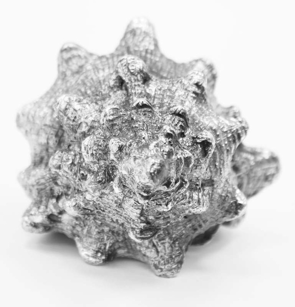 figurka muszla, Silvershell 2, wym.7x13x9cm