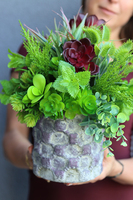 Bordo Line, sukulenty, kompozycja ze sztucznych roślin, wys.35cm