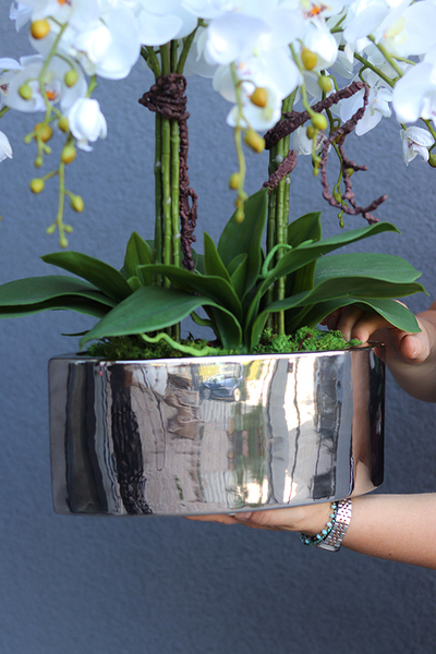 Manfredo Silver New, sztuczny storczyk w naczyniu glamour, wys.59cm