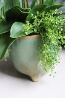 efektowny sztuczny storczyk w ceramicznej donicy, Paragwaj, wys.87cm