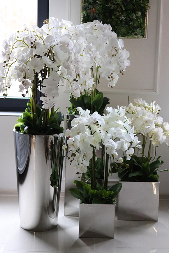 ekskluzywny storczyk w metalowej donicy, Moderno Mirror Round, wys.151cm 