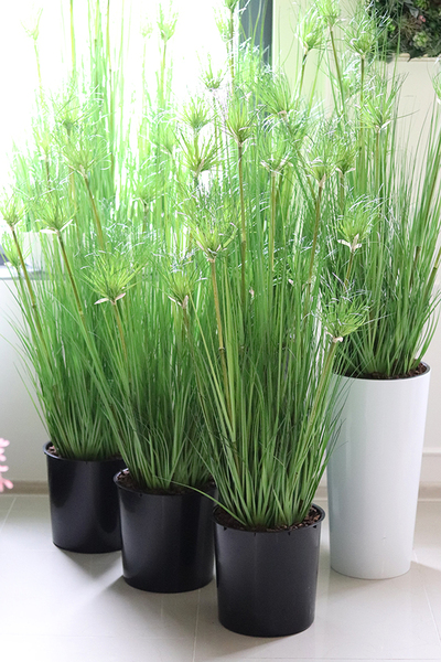 efektowna kompozycja ze sztucznych traw, Papirus Ordonia White, wys.164cm