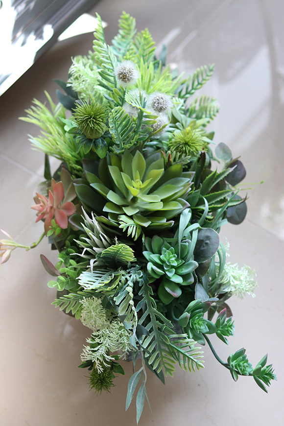 kompozycja sukulenty w muszli, Neroso Ocean, wym.30x57cm 