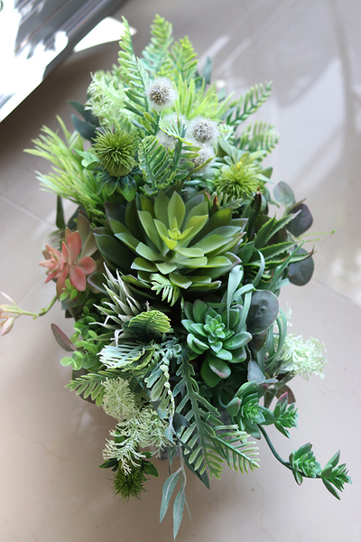 kompozycja sukulenty w muszli, Neroso Ocean, wym.30x57cm 