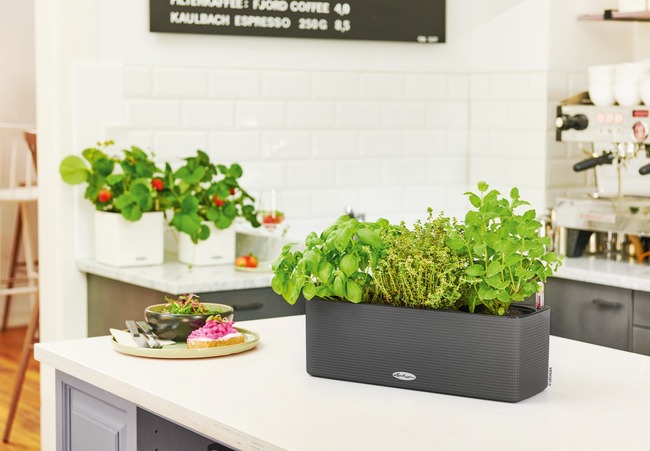 Balconissima, elegancka donica z nawadnianiem i uchwytami, biała, dł.40cm