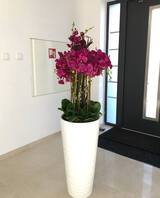 Gizelle Grande, wysoki sztuczny storczyk, wys.140cm