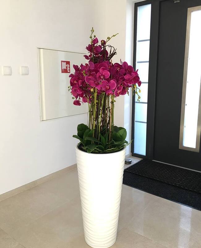 Gizelle Grande, wysoki sztuczny storczyk, wys.140cm