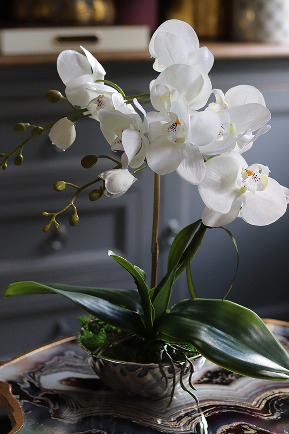 Little Silver, elegancki storczyk w stylu glamour, wys.36cm