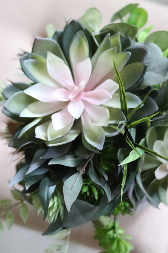 Albertina, welurowy flowerbox z sukulentami, wys.41cm