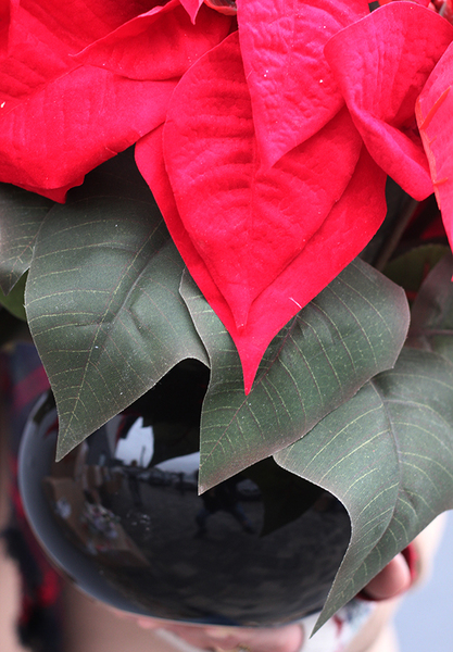 Gwiazda Betlejemska III, wysokiej jakości sztuczna roślina, wym.42cm