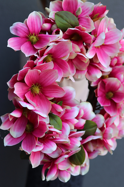 Magnolia Amarant, wianek z kwiatów magnolii, śr.45cm