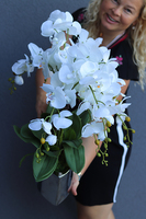 Manfredo Silver New, sztuczny storczyk w naczyniu glamour, wys.59cm