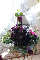 Angelo Garden, kompozycja kwiatowa ze srebrnym lampionem, wys.55cm 