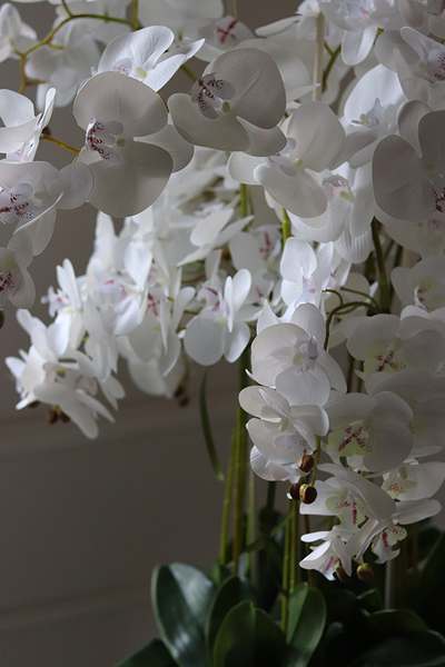 ekskluzywny storczyk w metalowej donicy, Moderno Mirror Round, wys.151cm 