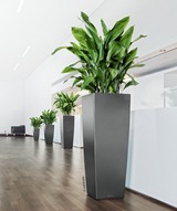 Cubico Alto Premium, elegancka donica z nawadnianiem, szara, wys.105cm