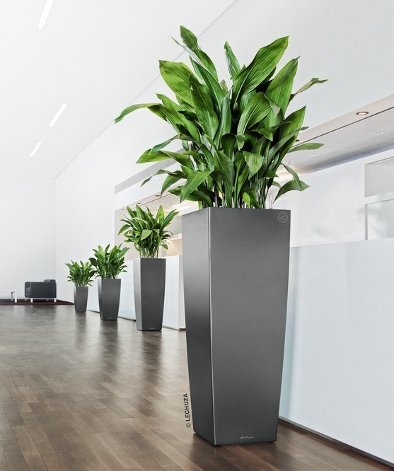 Cubico Alto Premium, elegancka donica z nawadnianiem, szara, wys.105cm