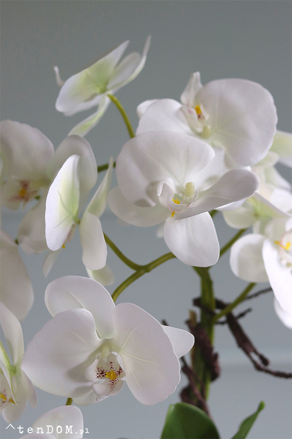 Glamour Beige 2, gumowy storczyk w beżowej donicy, wys.53cm 