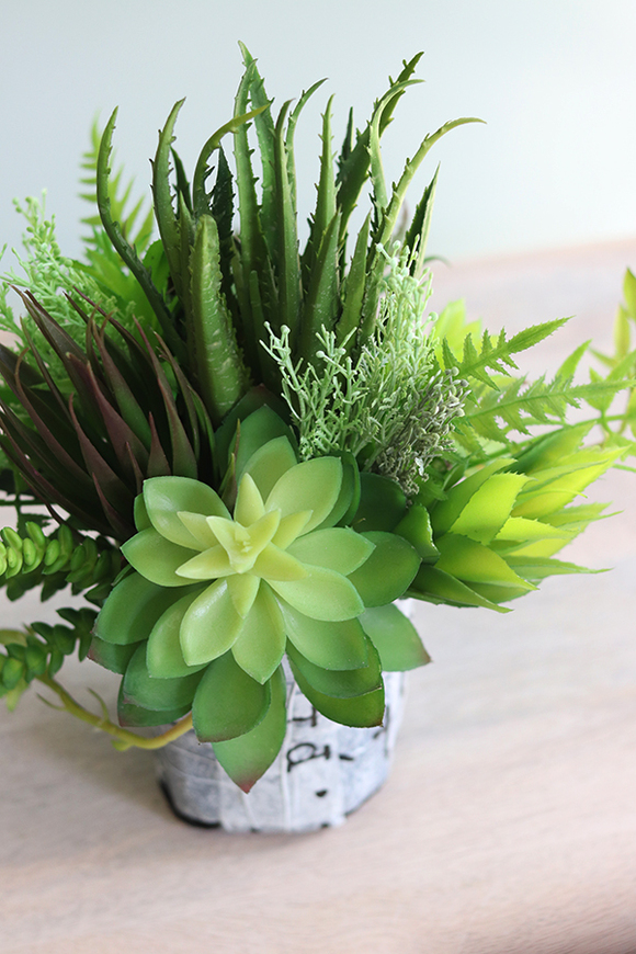 Jorge, sukulenty do Twojej donicy, wys.30cm