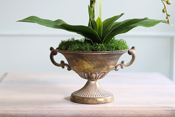 elegancki storczyk Aliorra w złotym pucharze, wys.63cm