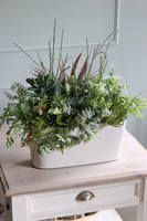 Gera Delta, kompozycja z traw i sukulentów w eleganckiej donicy, wym.57x60cm
