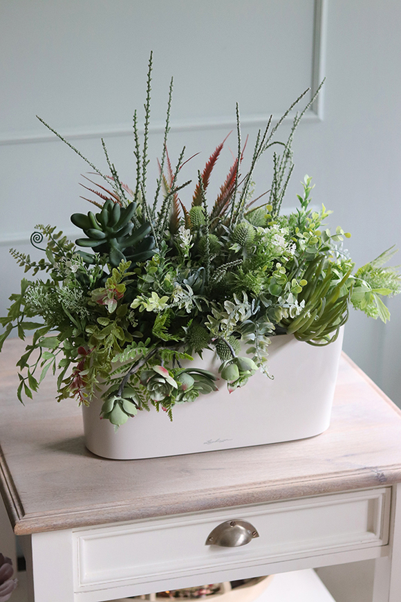 Gera Delta, kompozycja z traw i sukulentów w eleganckiej donicy, wym.57x60cm