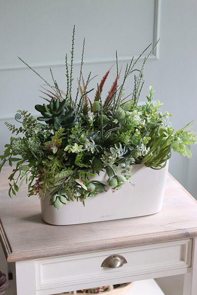 Gera Delta, kompozycja z traw i sukulentów w eleganckiej donicy, wym.57x60cm