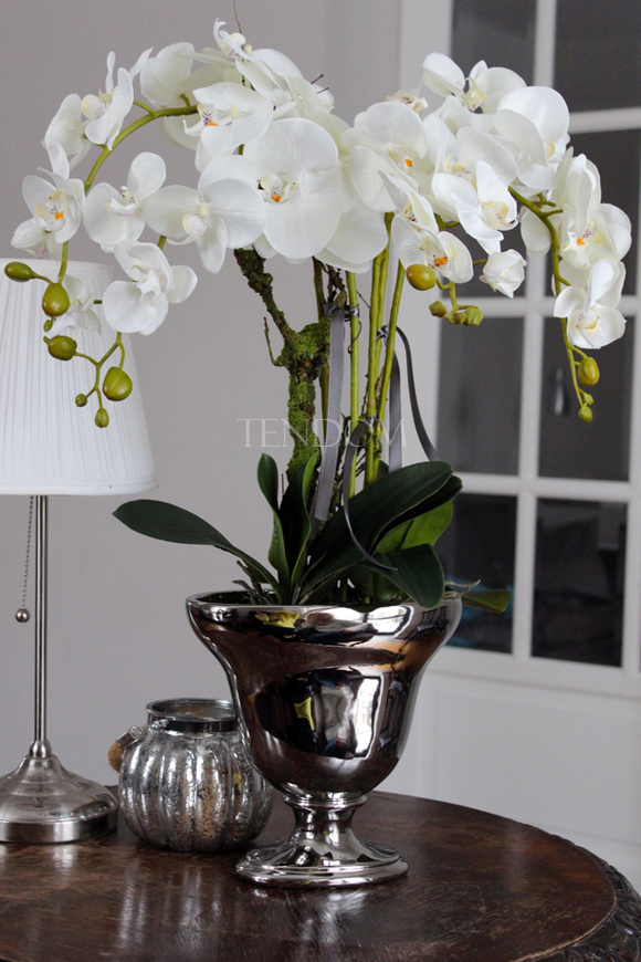 duży storczyk w srebrnej donicy Srebrny Pałac, wys.75cm