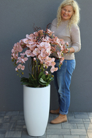 Fiberglass White Cappucino, sztuczny storczyk w wysokiej białej donicy, wys.132cm 