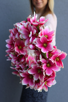 Magnolia Amarant, wianek z kwiatów magnolii, śr.45cm