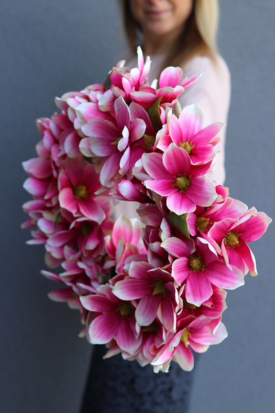 Magnolia Amarant, wianek z kwiatów magnolii, śr.45cm