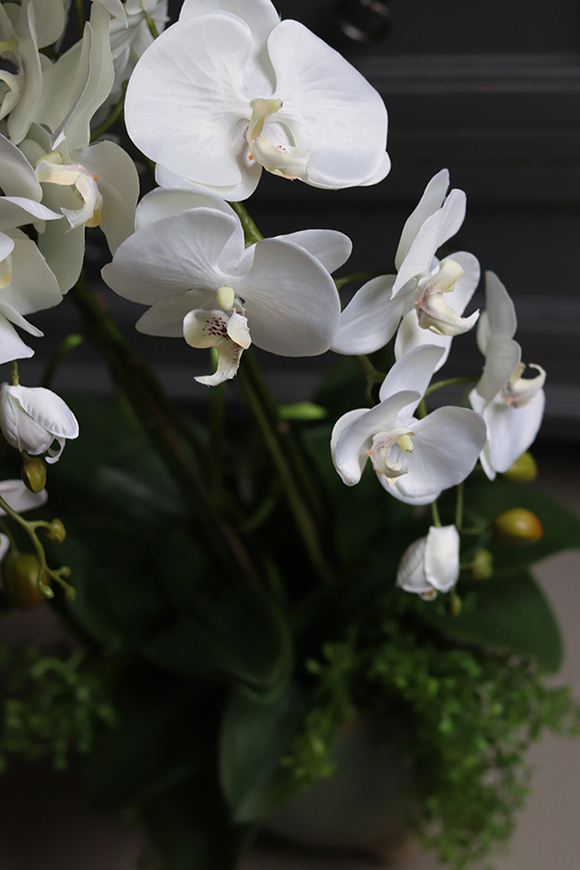 efektowny sztuczny storczyk w ceramicznej donicy, Paragwaj, wys.87cm