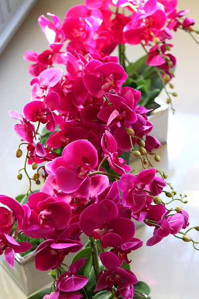 obfity storczyk Infinity w minimalistycznej donicy, wys.70cm