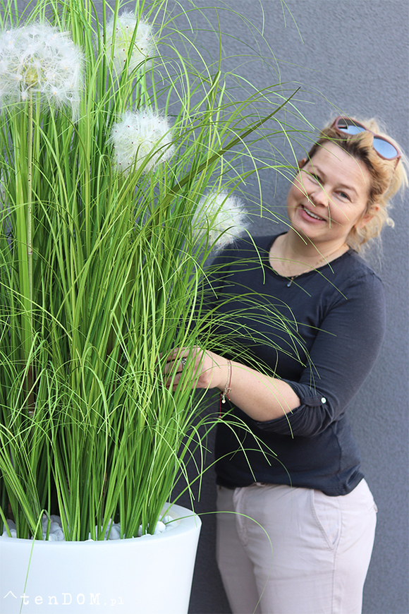 Dandelion Light, trawa w podświetlanej donicy z dmuchawcami, wys. 190cm