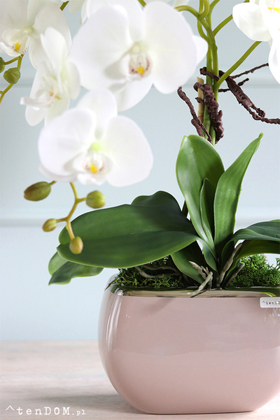 Glamour Beige 2, gumowy storczyk w beżowej donicy, wys.53cm 