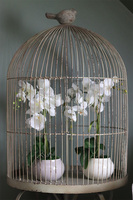 Grefina, sztuczny storczyk w kremowej donicy, wys.50cm