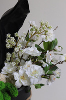 Black Easter Magnolia, flowerbox wielkanocny