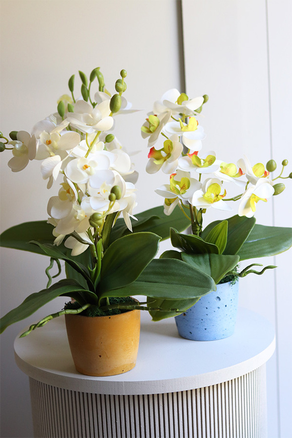 Mini Colors Concrete, sztuczny storczyk w niebieskiej donicy