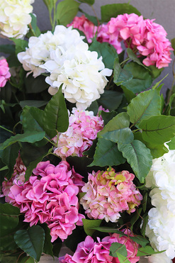 Impresja Saute, kompozycja kwiatowa XXL do Twojej donicy, wys.99/75cm