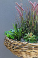 Rattania Alabama Big, kompozycja z traw i sukulentów w koszu, wym.47x45cm