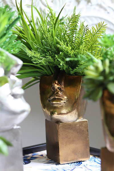 Suculentas Espana sukulenty w głowie kompozycja