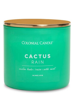 Cactus Rain, sojowa świeca zapachowa, Pop of Color, 411g