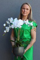 sztuczny storczyk w ceramicznej donicy, Paragwaj Nelista