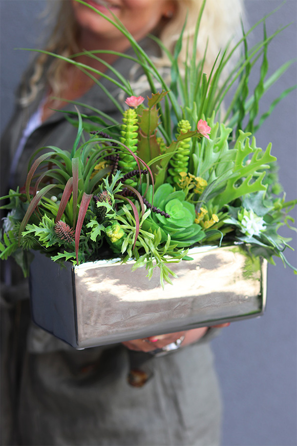 Silver Terana, kompozycja sukulenty w lustrzanej donicy