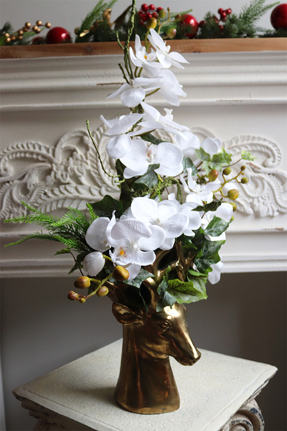 Golden Ren, kompozycja ze storczyków