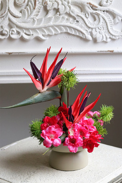 Strelicja Mini, nowoczesna kompozycja w pucharze, wys.30cm