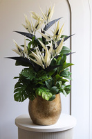 Kredeliana Oliver, kompozycja ze strelicją w złotej donicy