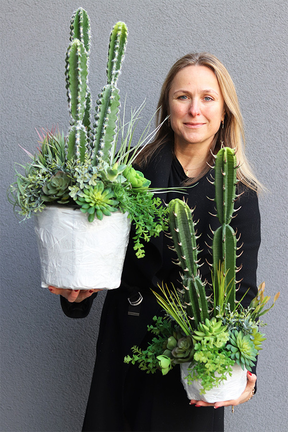 Cacti Saute A, sukulenty z kaktusem w stretchu, wys.70cm