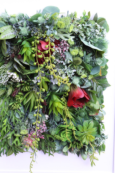 atrakcyjna jednostronna rama, Hotels Sukulenty Reddina, wym.77x57cm