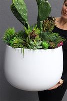 Desideria 2 Cacti Fiberglass, sukulenty z kaktusem w białej donicy, wys. 92cm